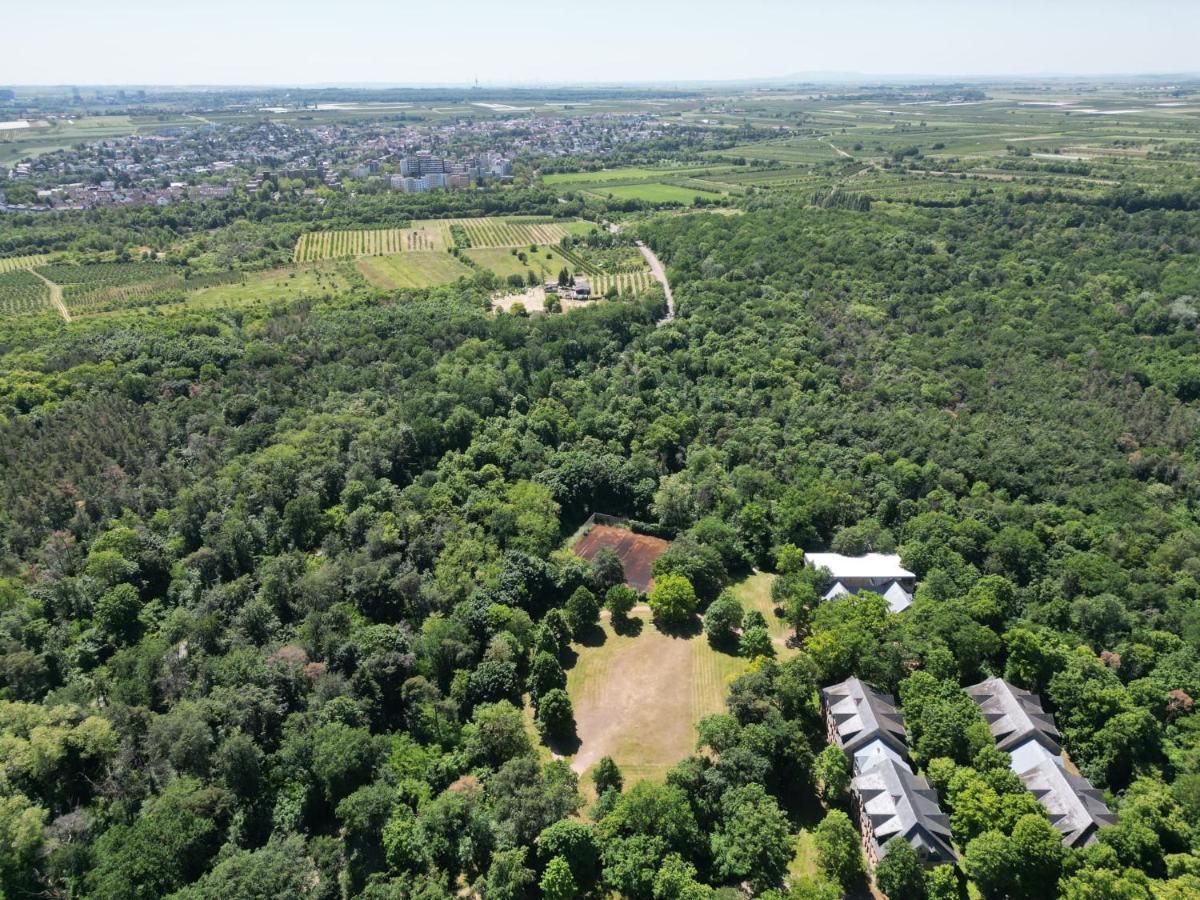 Ferienhaus Budenheim Bagian luar foto