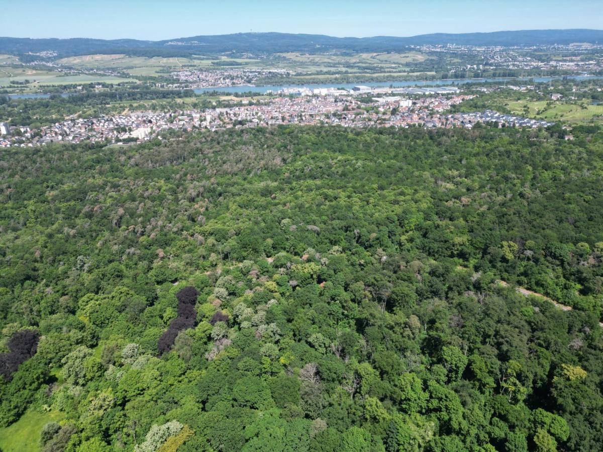 Ferienhaus Budenheim Bagian luar foto